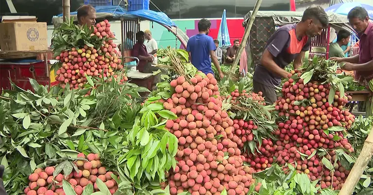 দিনাজপুরের লিচু